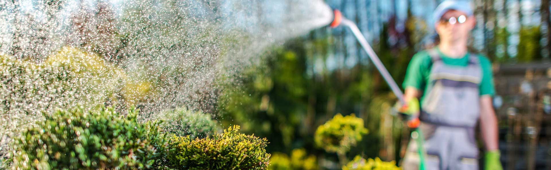 Wasser Marsch Die Richtige Bewasserung Fur Den Garten